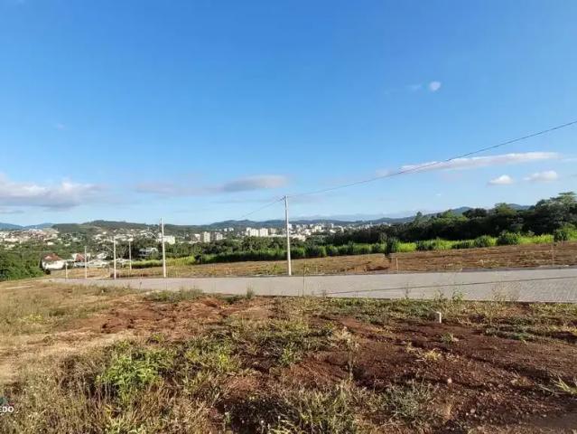 Terreno / Lote para Venda em Dois Irmãos/RS Vale Verde
