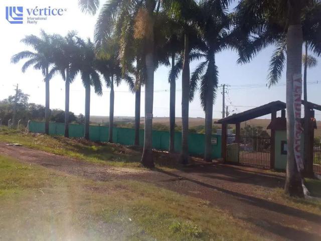 Terreno / Lote para Venda em Doutor Camargo/PR Centro