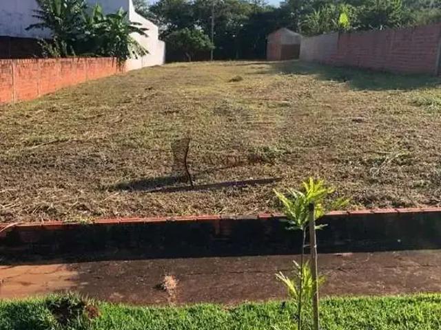 Terreno / Lote para Venda em Doutor Camargo/PR Zona Rural