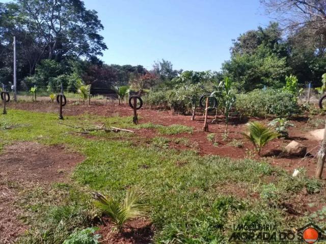 Terreno / Lote para Venda em Doutor Camargo/PR Zona Rural
