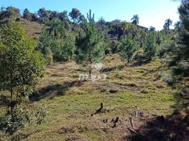 Terreno / Lote para Venda em Doutor Pedrinho/SC Centro