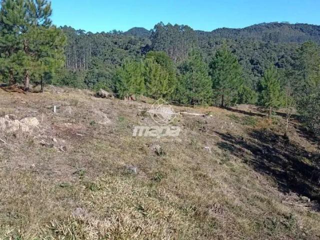 Terreno / Lote para Venda em Doutor Pedrinho/SC Centro