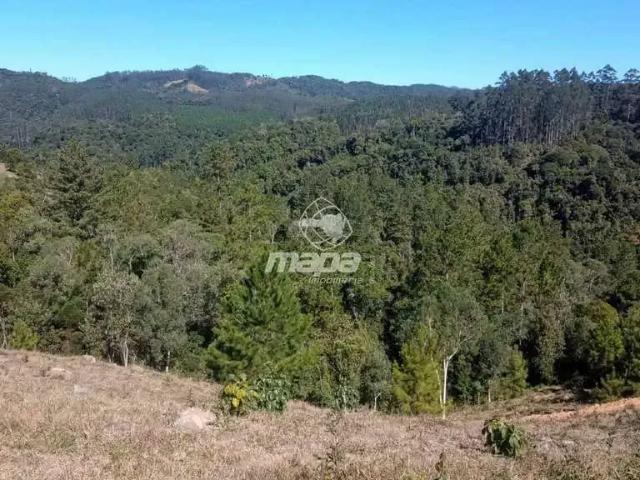 Terreno / Lote para Venda em Doutor Pedrinho/SC Centro