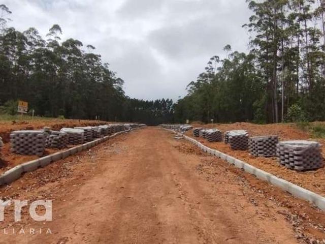 Terreno / Lote para Venda em Doutor Pedrinho/SC Centro