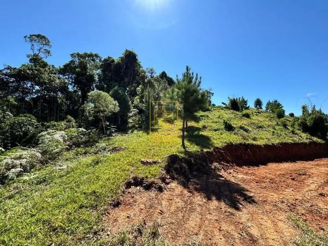 Terreno / Lote para Venda em Doutor Pedrinho/SC Centro