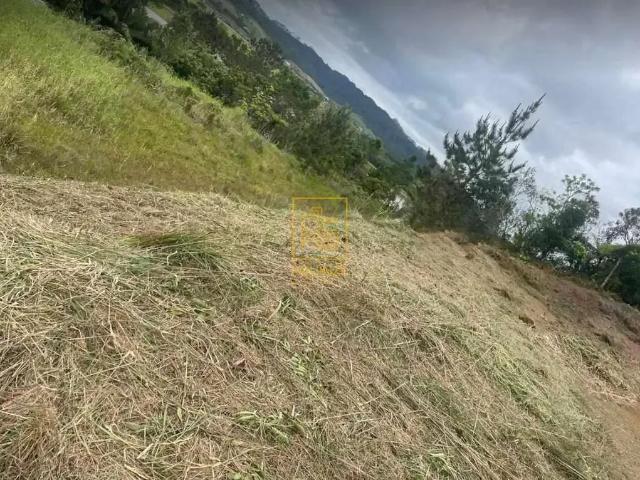 Terreno / Lote para Venda em Doutor Pedrinho/SC Centro