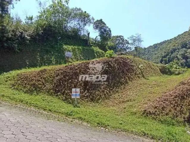 Terreno / Lote para Venda em Doutor Pedrinho/SC Centro