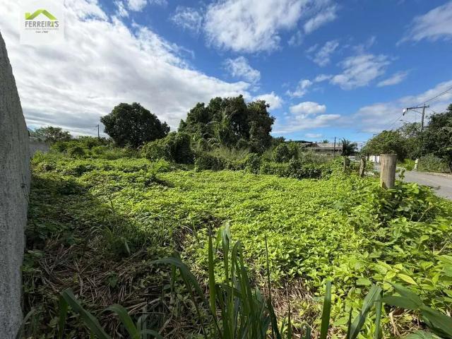 Terreno / Lote para Venda em Duque de Caxias/RJ Taquara