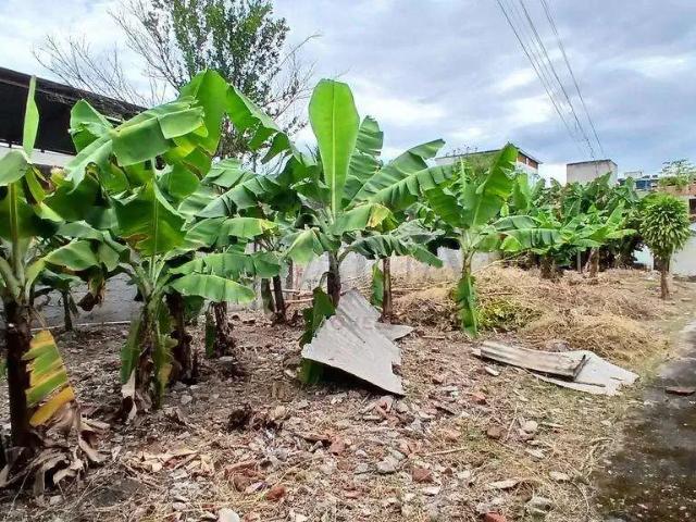 Terreno / Lote para Venda em Duque de Caxias/RJ Engenho do Porto