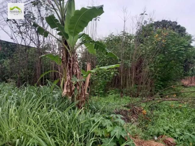 Terreno / Lote para Venda em Duque de Caxias/RJ Parque Paulista