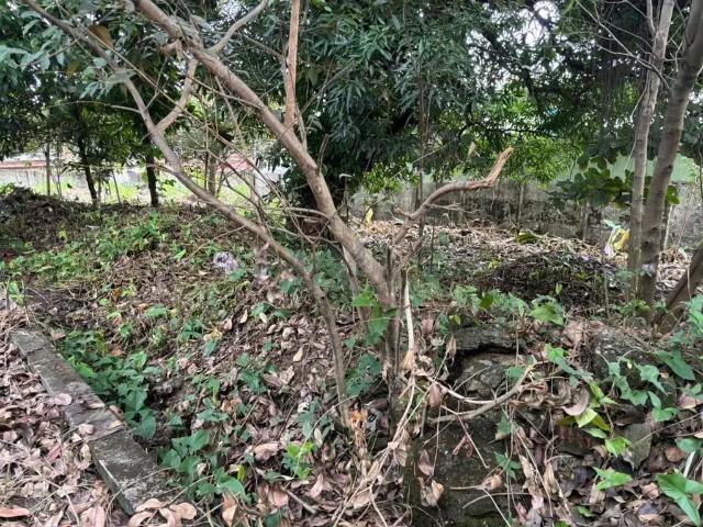 Terreno / Lote para Venda em Duque de Caxias/RJ Saracuruna