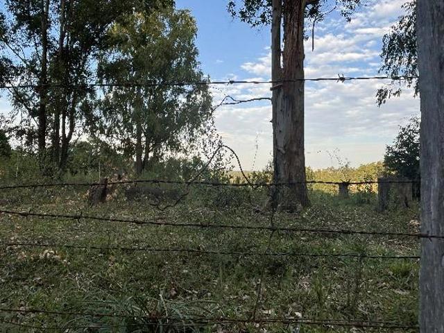 Terreno / Lote para Venda em Eldorado do Sul/RS Zona Rural