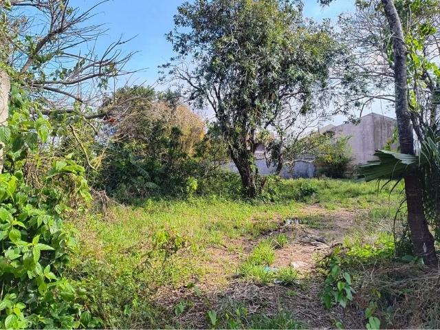 Terreno / Lote para Venda em Eldorado do Sul/RS Itaí