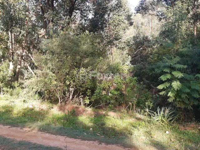 Terreno / Lote para Venda em Eldorado do Sul/RS Parque Eldorado