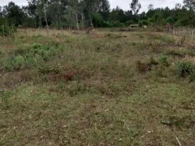 Terreno / Lote para Venda em Eldorado do Sul/RS Parque Eldorado