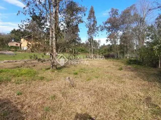 Terreno / Lote para Venda em Eldorado do Sul/RS Parque Eldorado