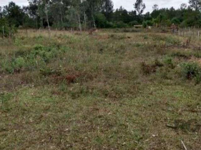 Terreno / Lote para Venda em Eldorado do Sul/RS Parque Eldorado