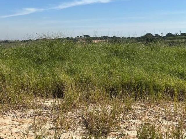 Terreno / Lote para Venda em Elias Fausto/SP Centro