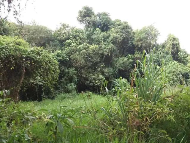 Terreno / Lote para Venda em Embu das Artes/SP Capuava