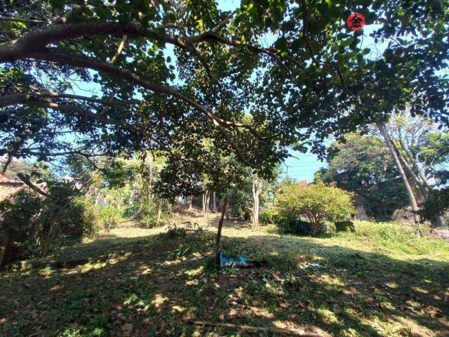 Terreno / Lote para Venda em Embu das Artes/SP Chácaras São Marcos