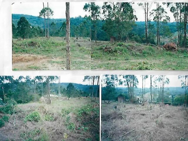 Terreno / Lote para Venda em Embu das Artes/SP Invernada