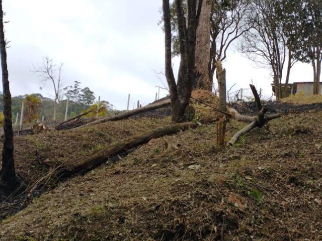 Terreno / Lote para Venda em Embu das Artes/SP Jardim de Lourdes
