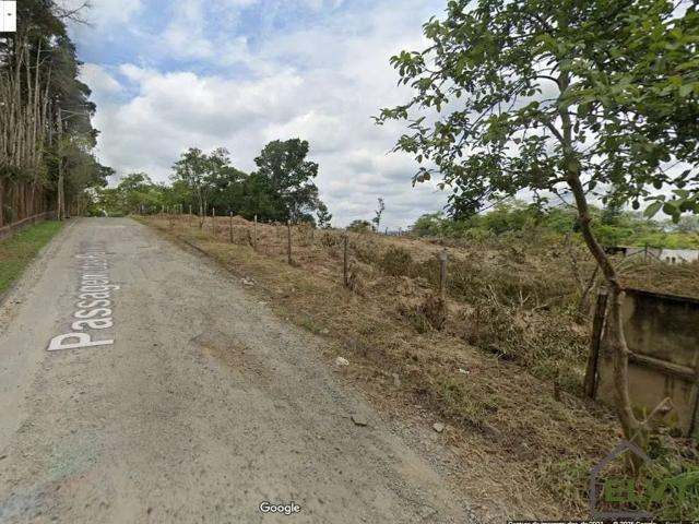 Terreno / Lote para Venda em Embu das Artes/SP Jardim dos Ipês