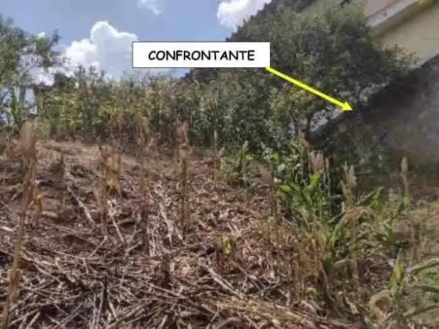 Terreno / Lote para Venda em Embu das Artes/SP Jardim dos Moraes