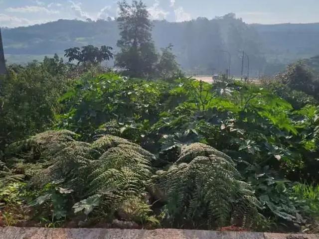 Terreno / Lote para Venda em Embu das Artes/SP Jardim dos Moraes