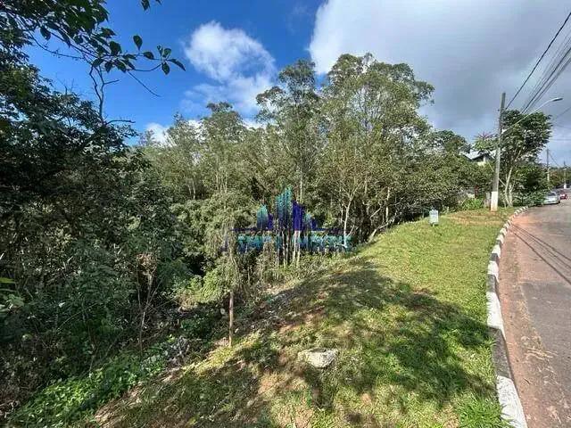 Terreno / Lote para Venda em Embu das Artes/SP Jardim Indaiá