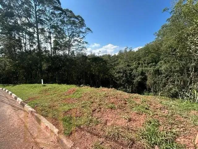 Terreno / Lote para Venda em Embu das Artes/SP Jardim Indaiá