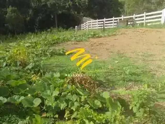 Terreno / Lote para Venda em Engenheiro Caldas/MG Centro