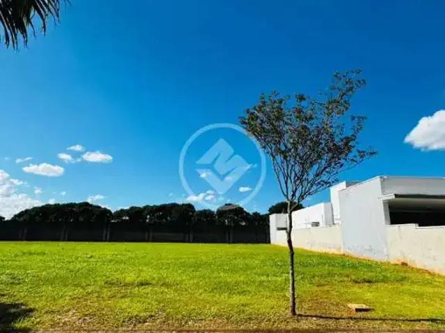 Terreno / Lote para Venda em Engenheiro Coelho/SP Residencial Lago Azul