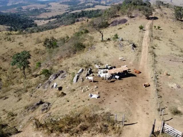 Terreno / Lote para Venda em Entre Rios de Minas/MG Castro 1 Quartos