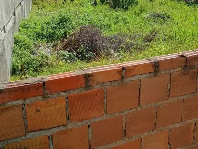 Terreno / Lote para Venda em Entre Rios/BA Porto de Sauipe