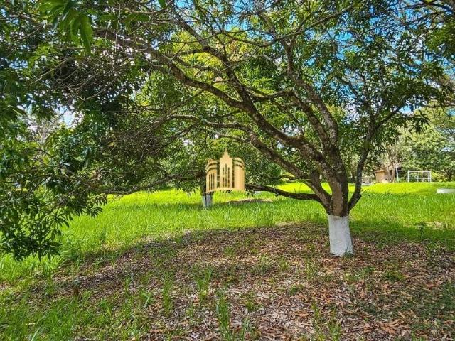 Terreno / Lote para Venda em Esmeraldas/MG Condomínio Quintas das Esmeraldas