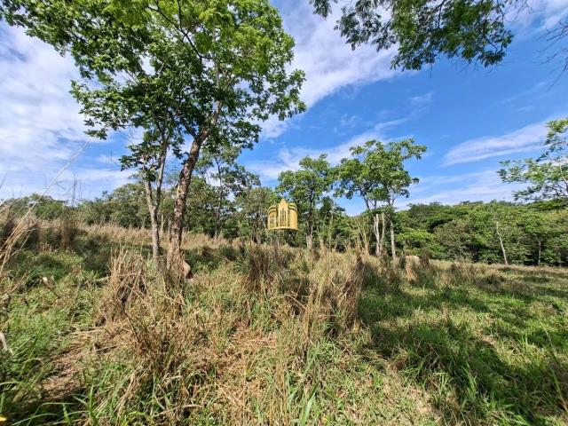 Terreno / Lote para Venda em Esmeraldas/MG Centro