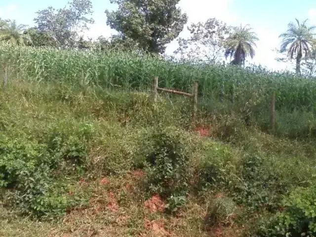 Terreno / Lote para Venda em Esmeraldas/MG Cidade Jardim