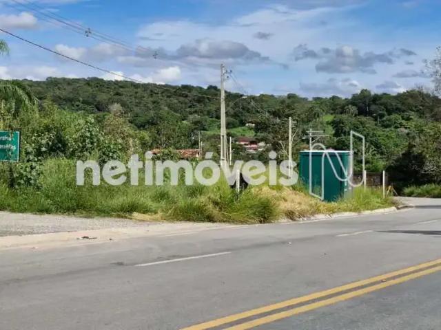 Terreno / Lote para Venda em Esmeraldas/MG Jardim das Oliveiras