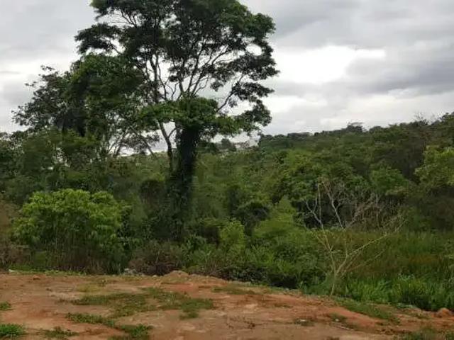 Terreno / Lote para Venda em Esmeraldas/MG Monte Sinai