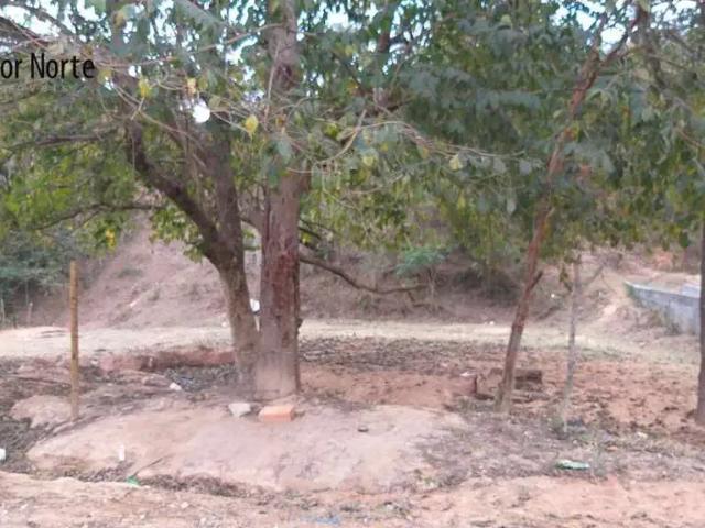 Terreno / Lote para Venda em Esmeraldas/MG Vivendas Barbosa Melo Viana
