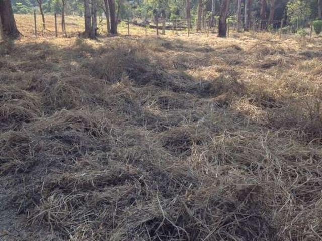 Terreno / Lote para Venda em Esmeraldas/MG Zona Rural