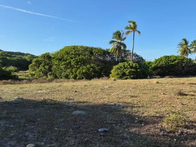 Terreno / Lote para Venda em Esplanada/BA Baixio