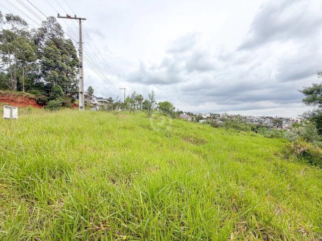Terreno / Lote para Venda em Estância Velha/RS Bela Vista