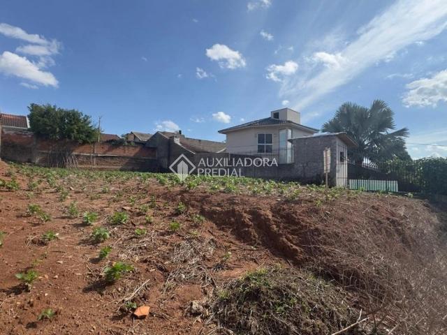 Terreno / Lote para Venda em Estância Velha/RS Bela Vista