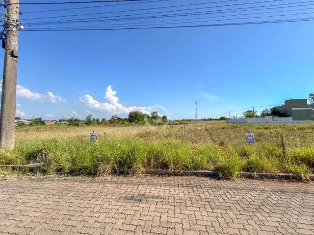 Terreno / Lote para Venda em Estância Velha/RS Campo Grande