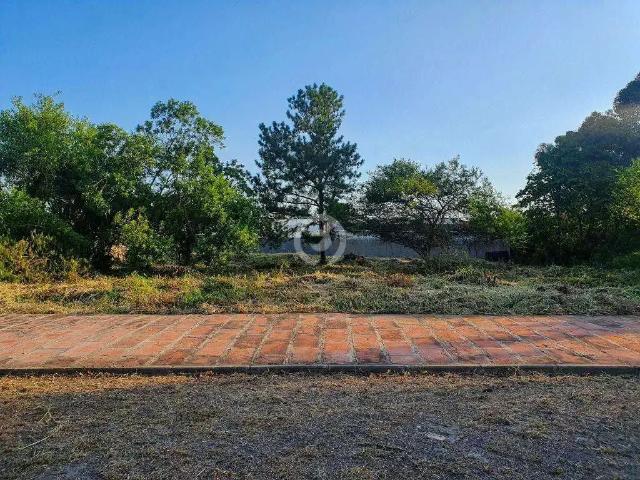 Terreno / Lote para Venda em Estância Velha/RS Centro