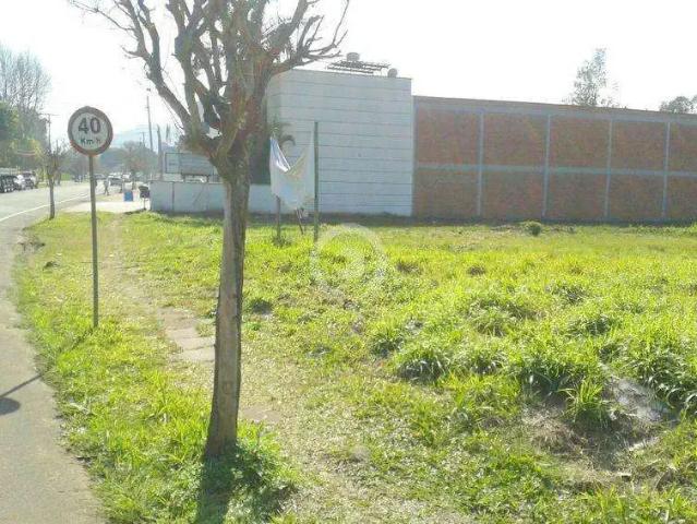 Terreno / Lote para Venda em Estância Velha/RS Centro