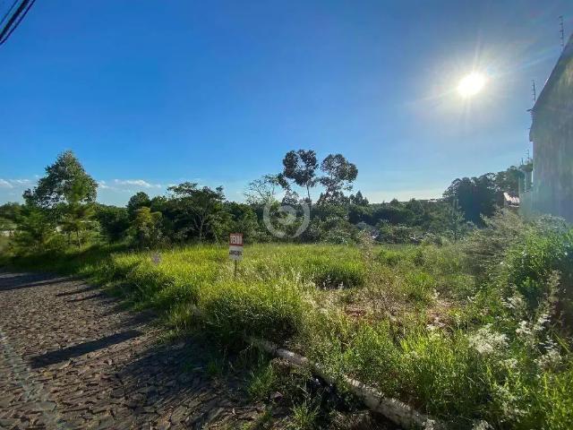 Terreno / Lote para Venda em Estância Velha/RS Lago Azul
