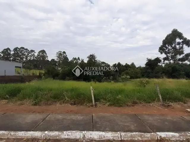 Terreno / Lote para Venda em Estância Velha/RS Sol Nascente